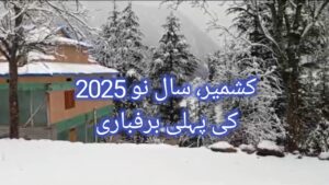 سال نو 2025 کی پہلی برفباری شروع